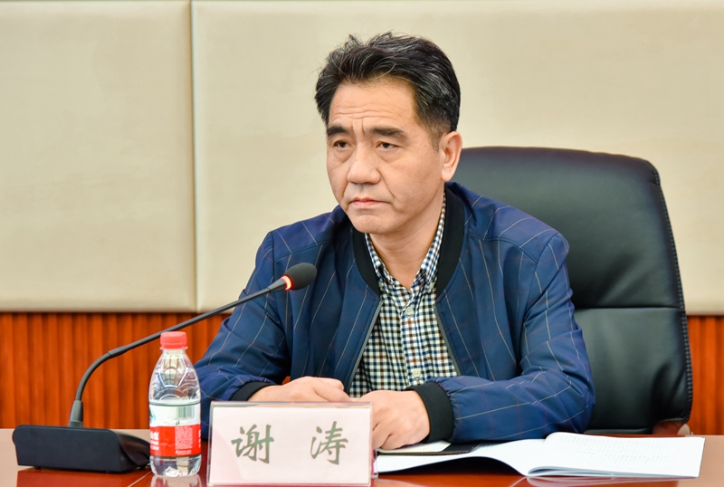 十九大学习专题学习贯彻党的十九大精神推进全面从严治党纪委书记谢涛