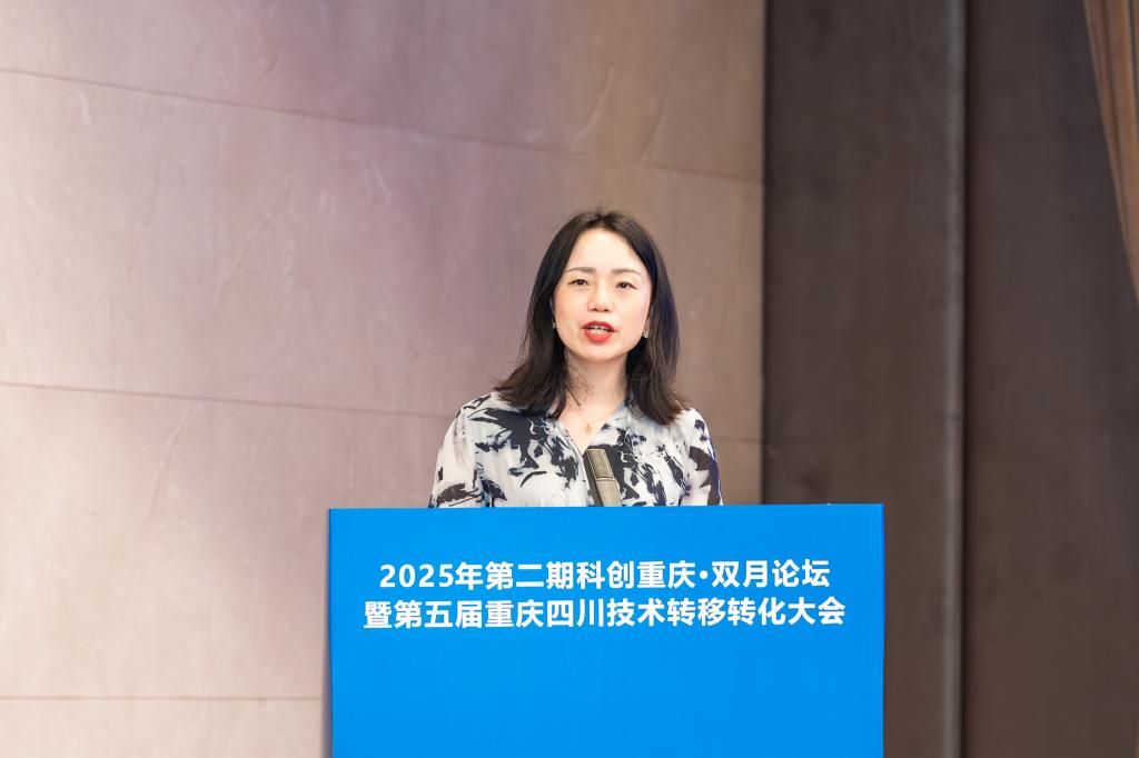 2(吴岚)2025年成渝地区双城经济圈职业教育协同发展联盟年会.jpg